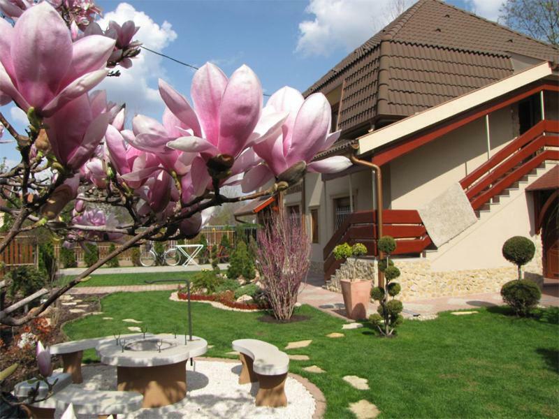 Vila Szegfu Apartman Hajdúszoboszló Exteriér fotografie